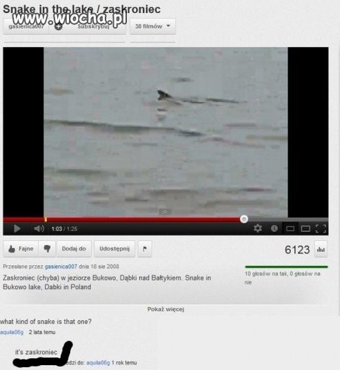 Wiocha na youtube...