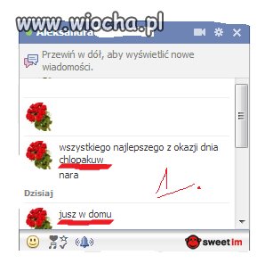 Polska ortografia 