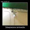 Zabezpieczenie to podstawa