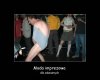 Moda imprezowa