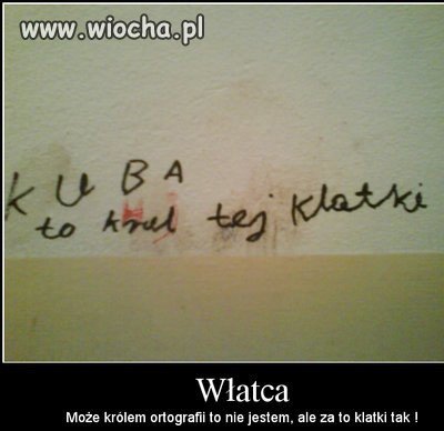Polska ortografia...