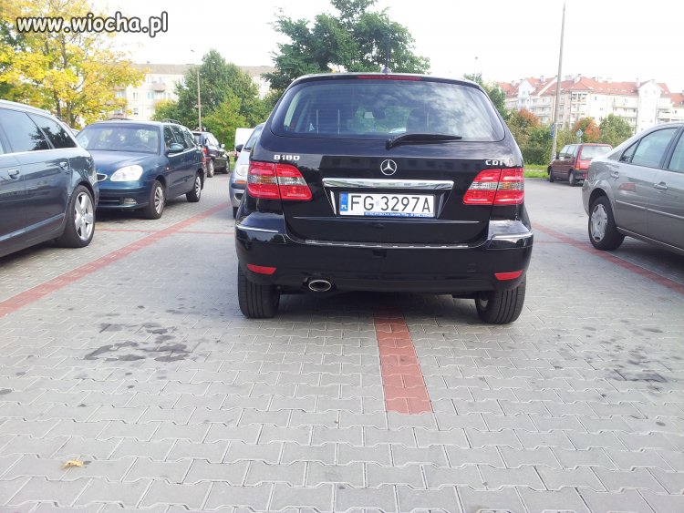 Mi przecież wolno...