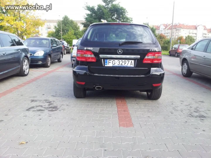 Mi przecież wolno...
