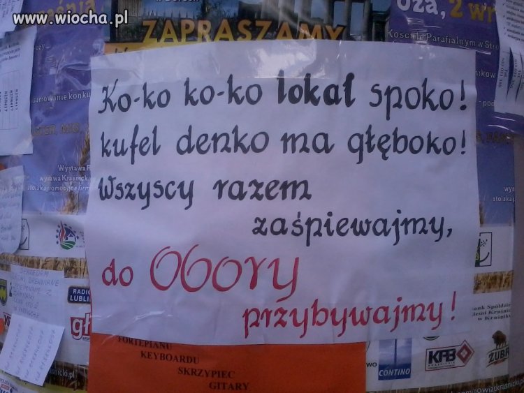 Ko-ko ko-ko lokal spoko