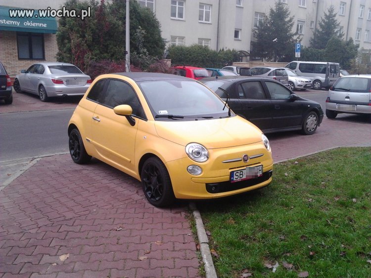 Mistrz parkowania