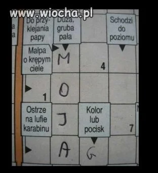 Nie ma to jak sobie pomarzyć o takiej... 