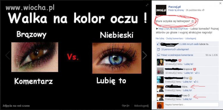 A Wy jak myślicie "Kture" ?