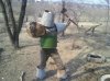 Gladiator 