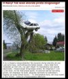 Pirat drogowy