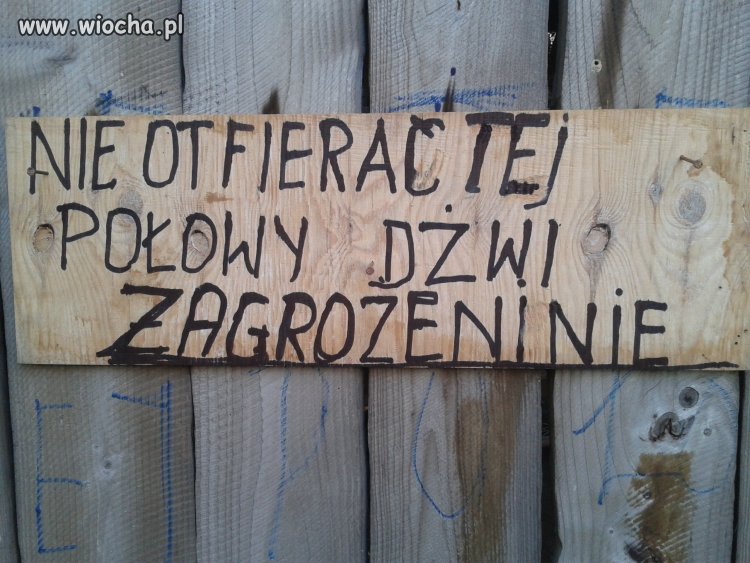 ORTOGRAFIA
