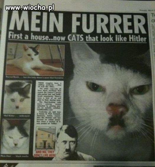 Adolf Kittler 