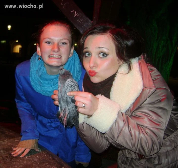 Ze zdechłym gołębiem