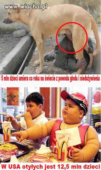 Szokująca prawda...