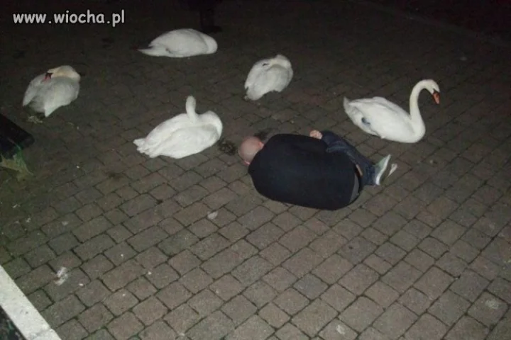 Po imprezie...