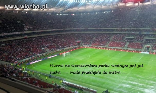 Murawa na stadionie jest już sucha ...