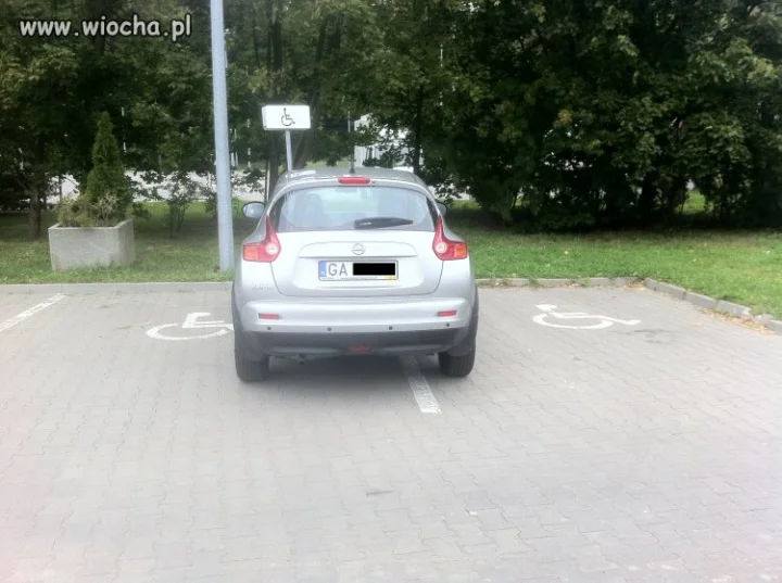Gdynia Centrum Wzgórze 