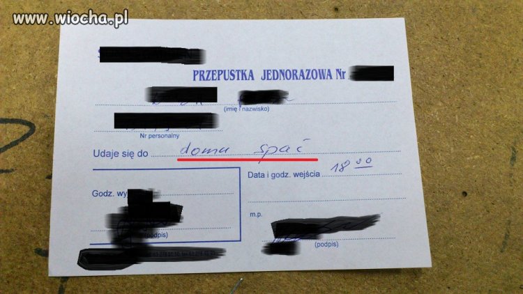 Jak widać czasem szczerość popłaca 