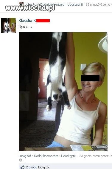 Idiotka z fejsa męcząca kota...
