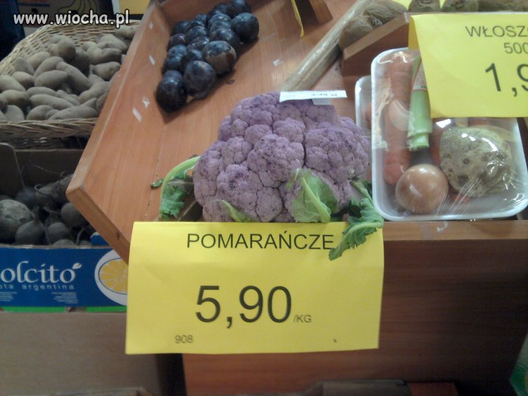 Inteligencja w polskich sklepach . . .