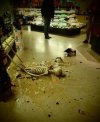 Alkohol jednak mu zaszkodził!