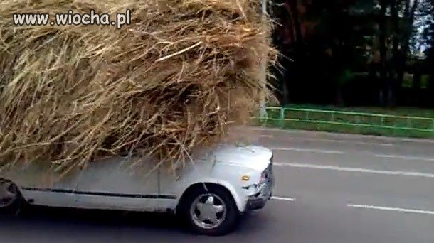 Auto z grzywką.