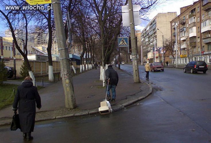 Albo wyprowadza na spacer, albo mu się nie chce nieść