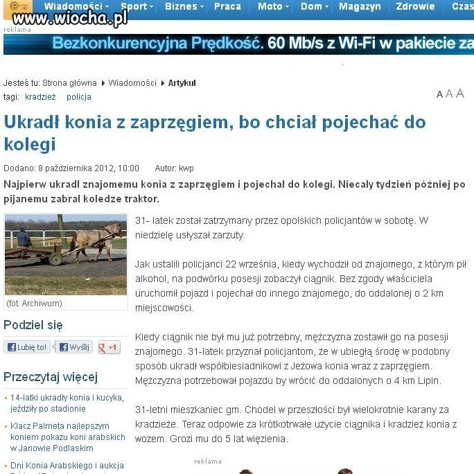 Ukradł konia,