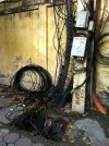 Elektryka 