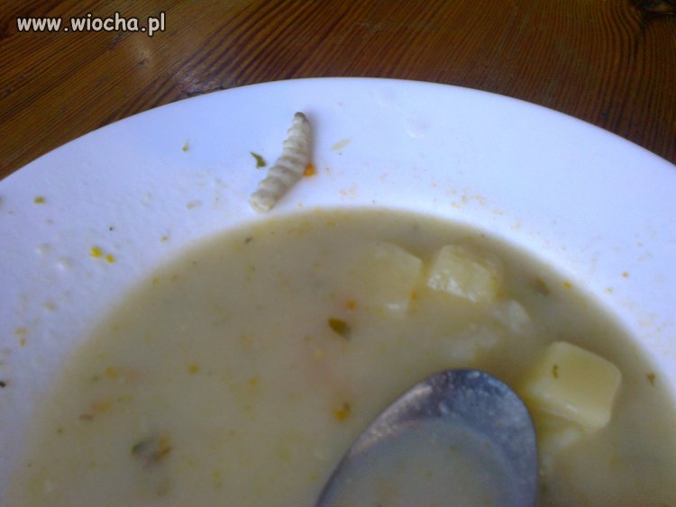"Przełyk w zupie" 