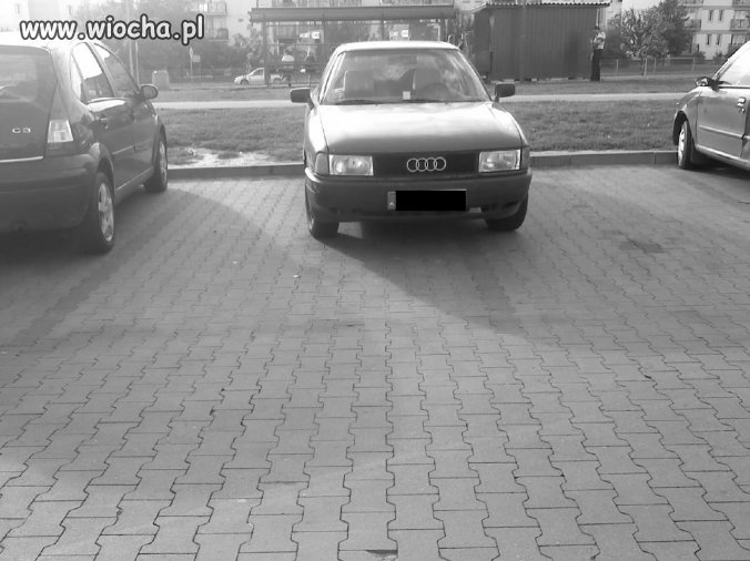 Mistrz parkowania 