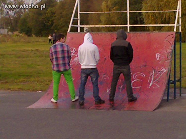 Polscy skejci