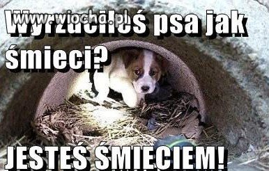 Cała szczera prawda