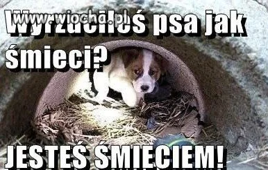 Cała szczera prawda