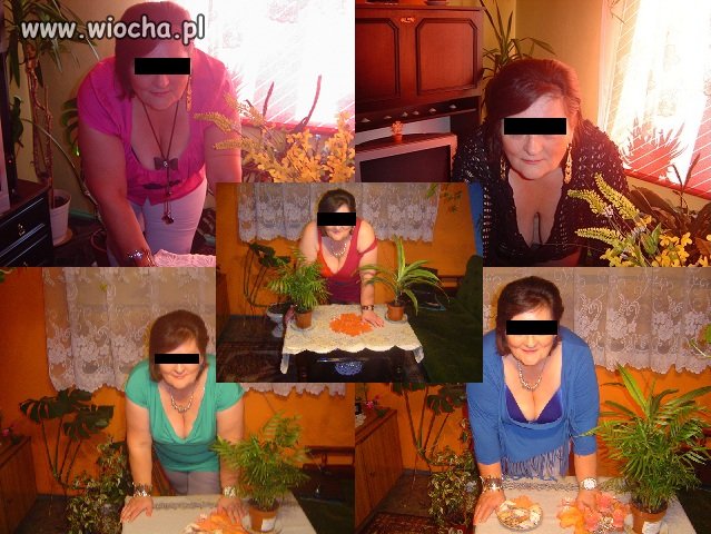 Różnorodność zdjęć Pani z fotki.