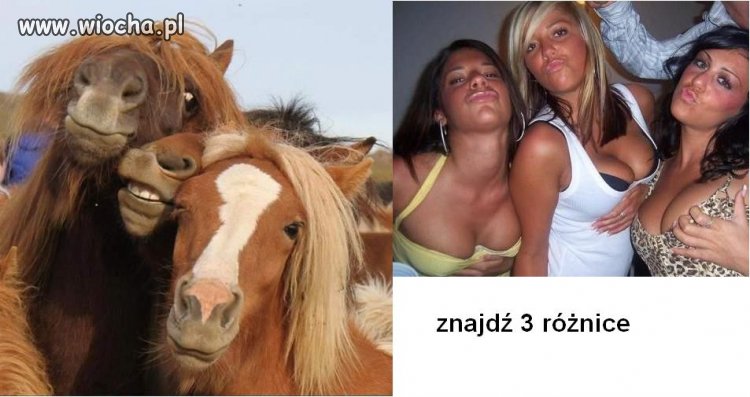 Tak właśnie wyglądają ...