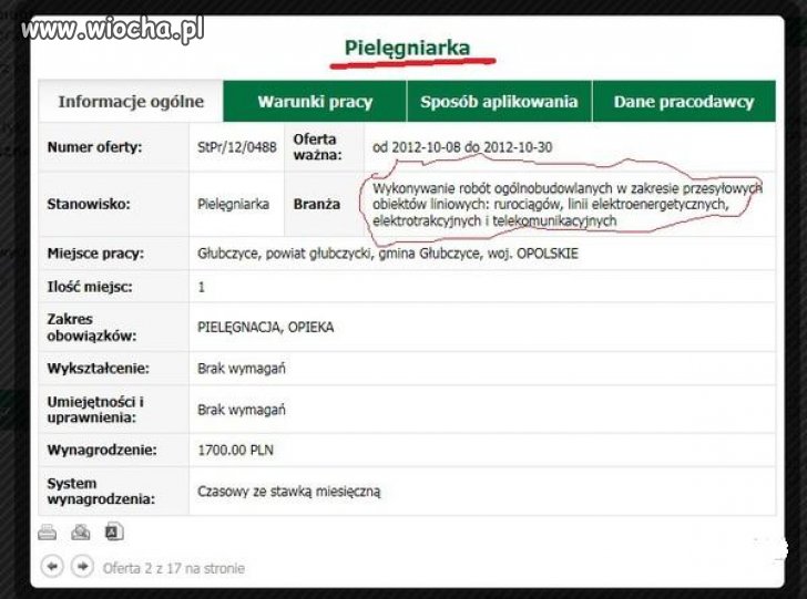 Wymagania dla pielęgniarki...