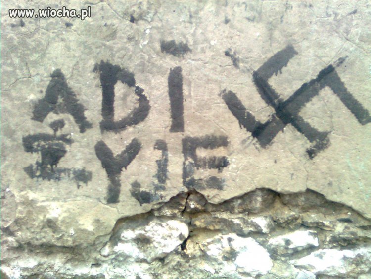 Adi żyje...