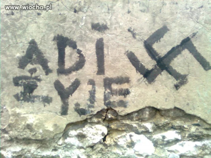 Adi żyje...