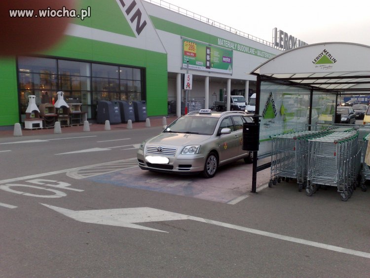 Sałaciarz może więcej...