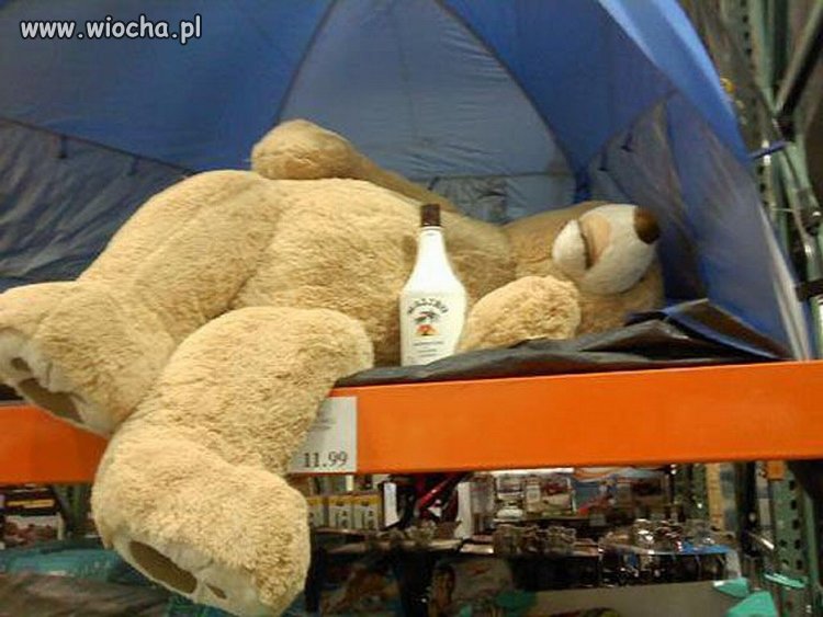 Oferta 