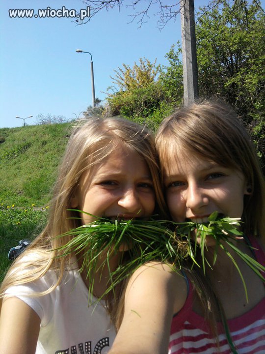 A oto nowe , tak zwane