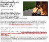Firma telekomunikacyjna wystawiła rachunek...