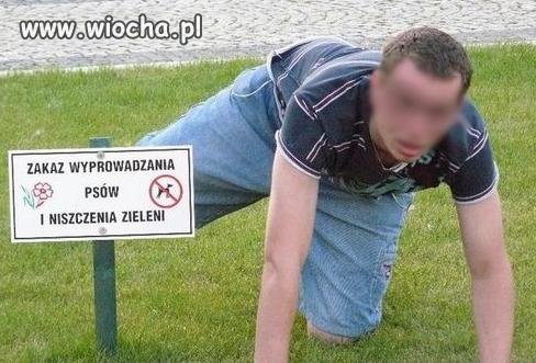 Bo zakazy są po to...