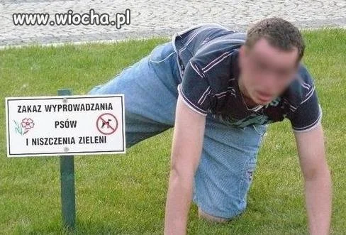 Bo zakazy są po to...