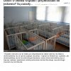 Jak tak można traktować małe dzieci