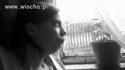 Dzióbek