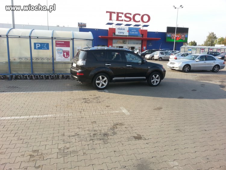 Mistrz parkowania