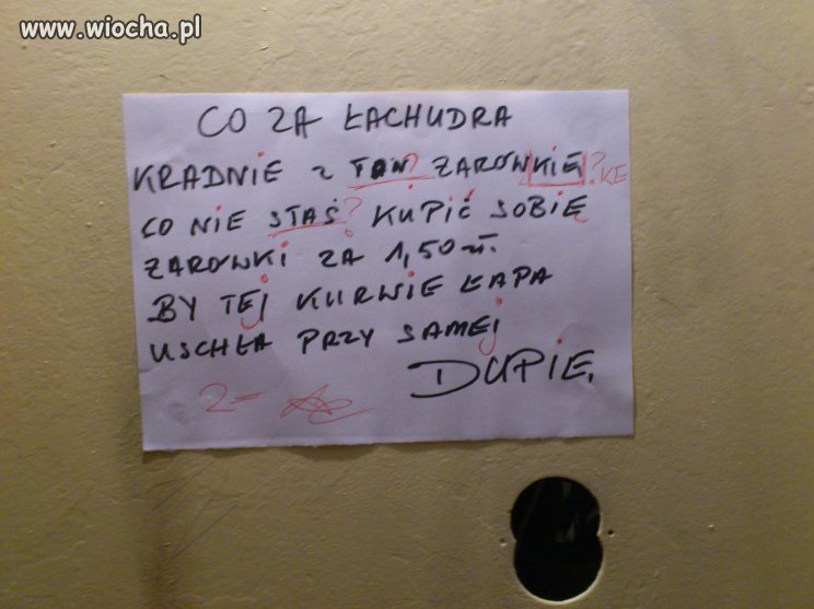 Ortografia dorosłej sąsiadki