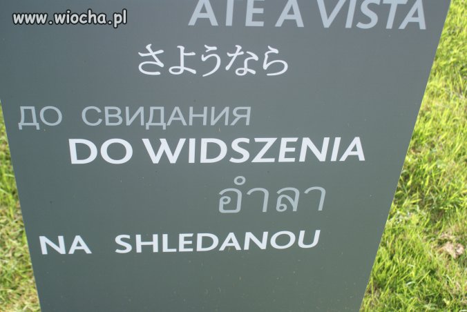 Język polski