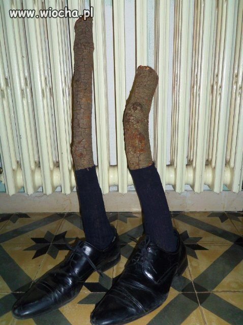 Patykowa